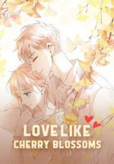 Love Like Cherry Blossoms Manga