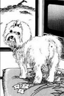 Junji Ito's Dog Diary Manga