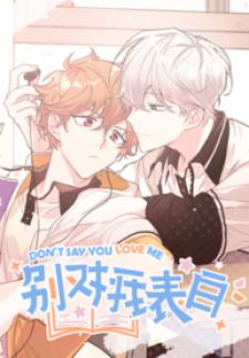 Don’T Say You Love Me Manga