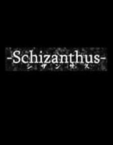 Schizanthus Manga