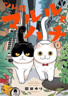 Cat Partners: Maruru And Hachi Manga